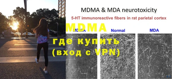 хмурый Абаза