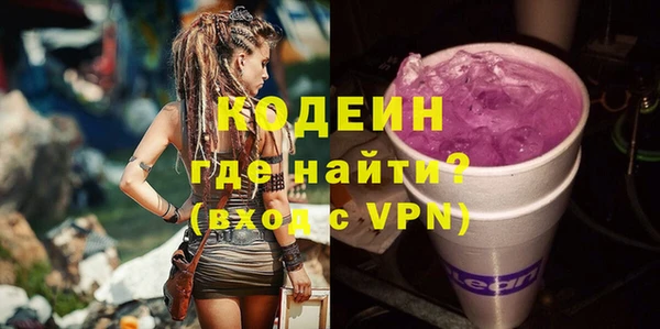 хмурый Абаза