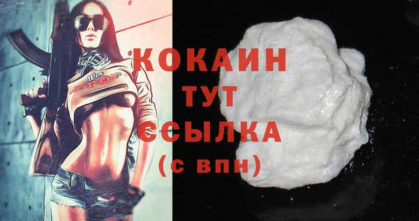 хмурый Абаза