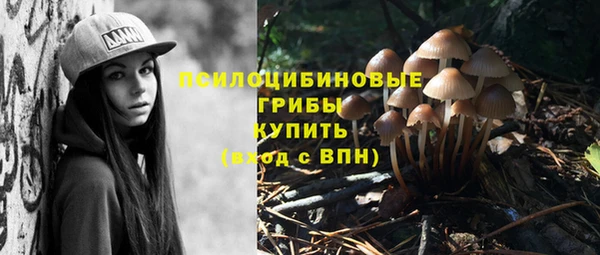 герыч Алзамай