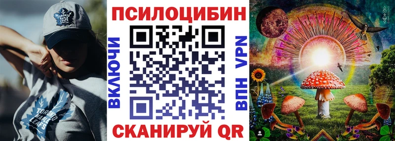 Псилоцибиновые грибы Cubensis  Ирбит 